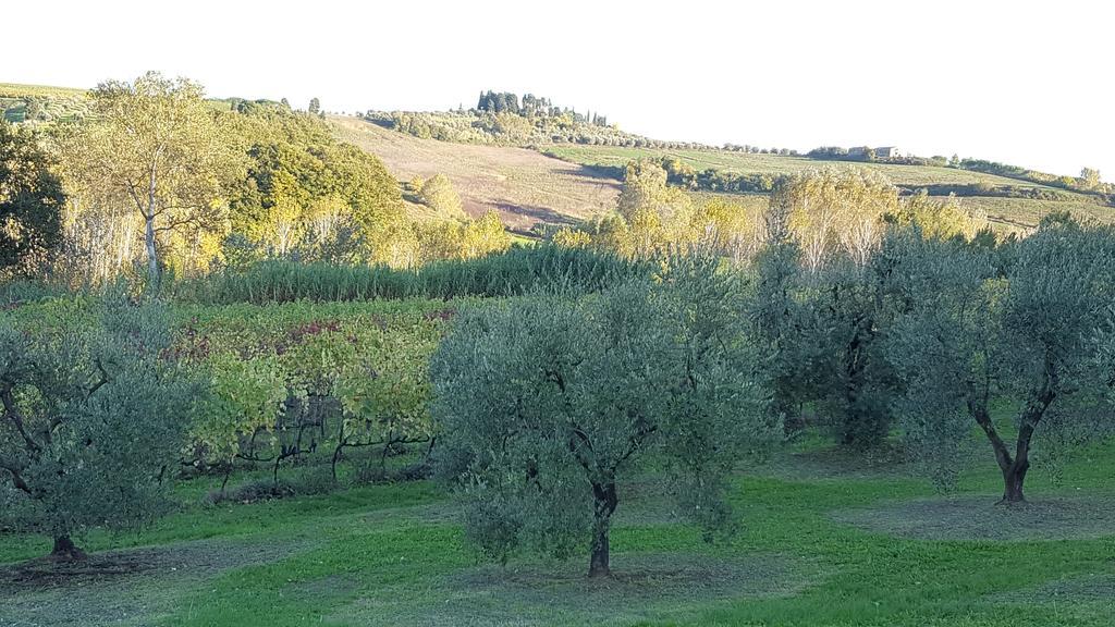 Podere Chiasso Gherardo Villa Peccioli Exterior foto