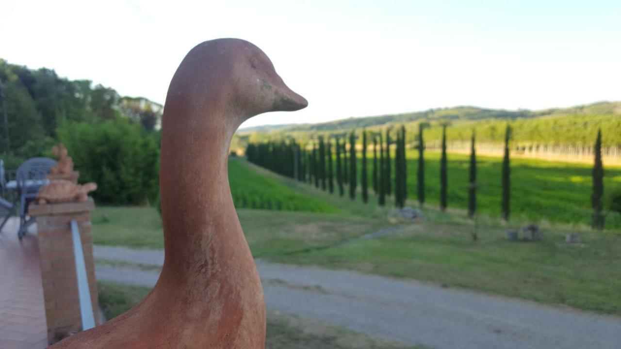 Podere Chiasso Gherardo Villa Peccioli Exterior foto