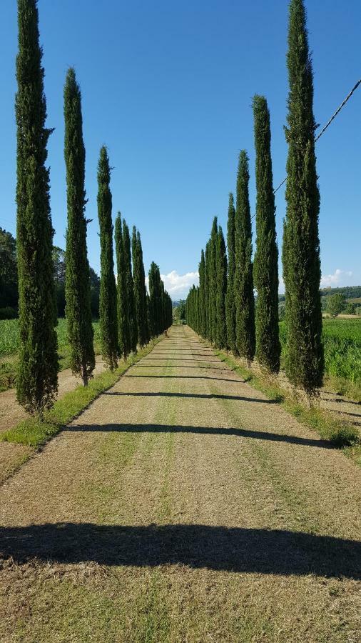 Podere Chiasso Gherardo Villa Peccioli Exterior foto