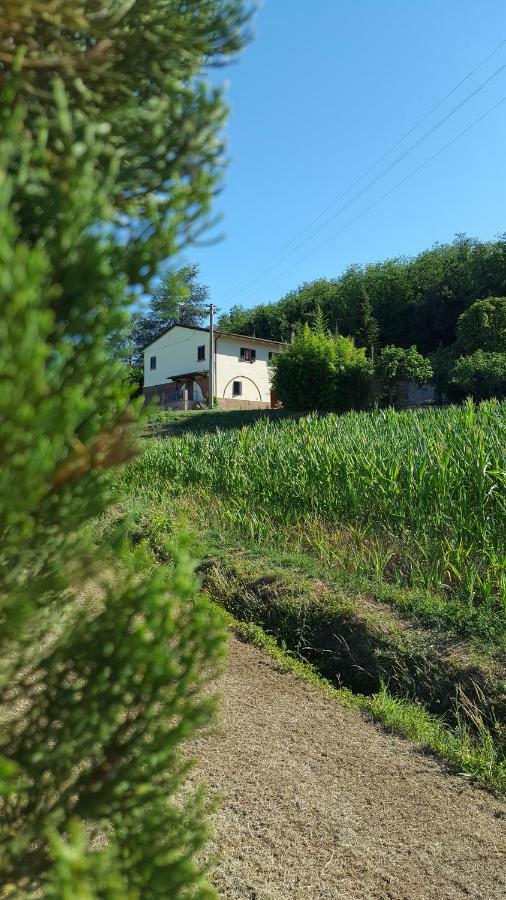 Podere Chiasso Gherardo Villa Peccioli Exterior foto