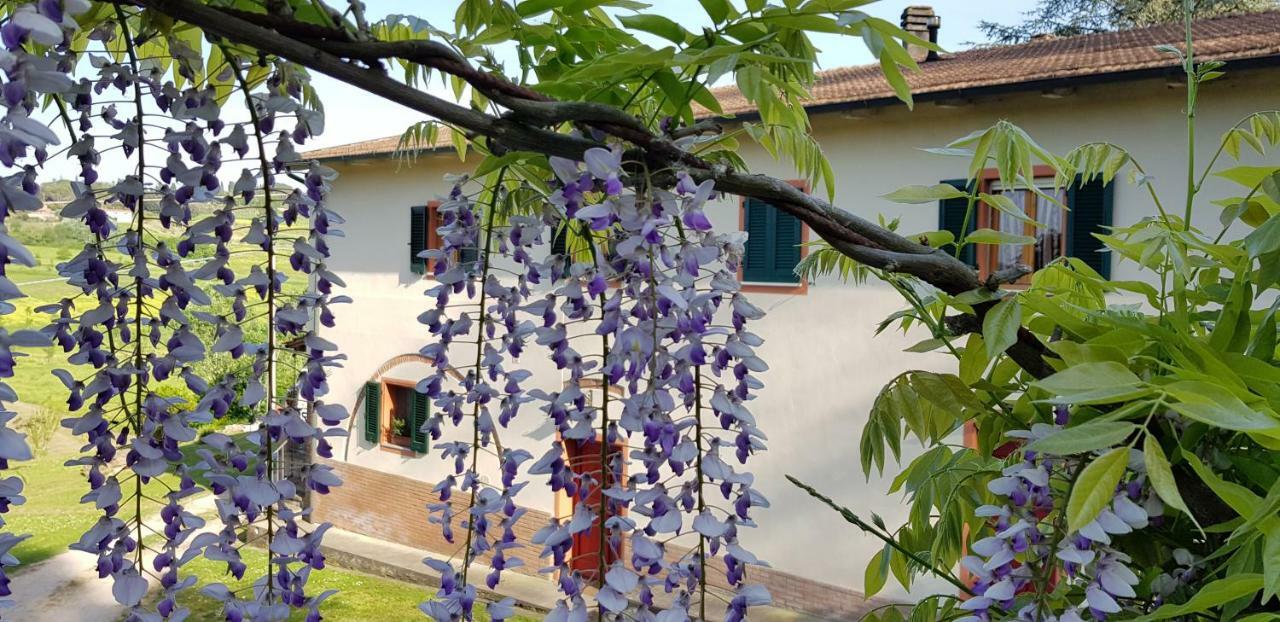 Podere Chiasso Gherardo Villa Peccioli Exterior foto